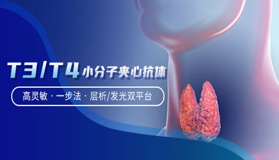 【小分子夾心法】甲功T3/T4，高靈敏&一步法